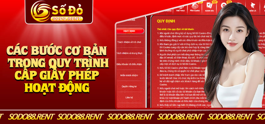 Các Bước Cơ Bản Trong Quy Trình Cấp Giấy Phép Hoạt Động