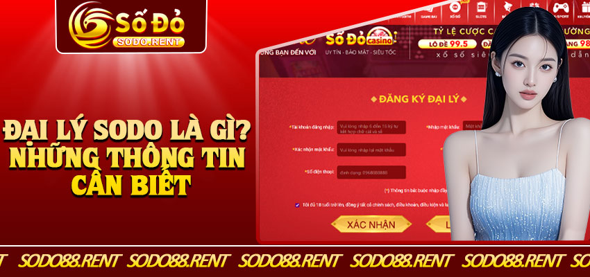 Đại Lý Sodo Là Gì? Những Thông Tin Cần Biết