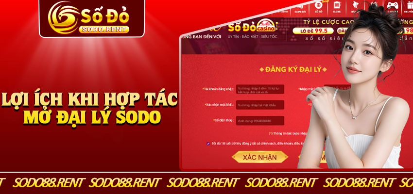Lợi Ích Khi Hợp Tác Mở Đại Lý Sodo