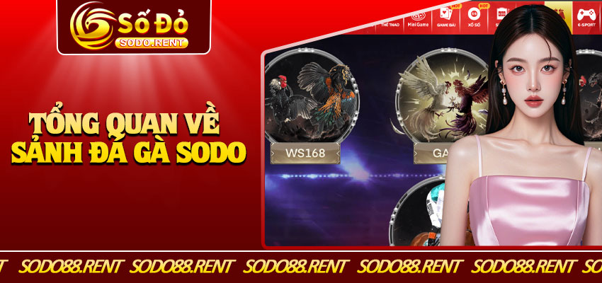 Tổng Quan Về Sảnh Đá Gà Sodo